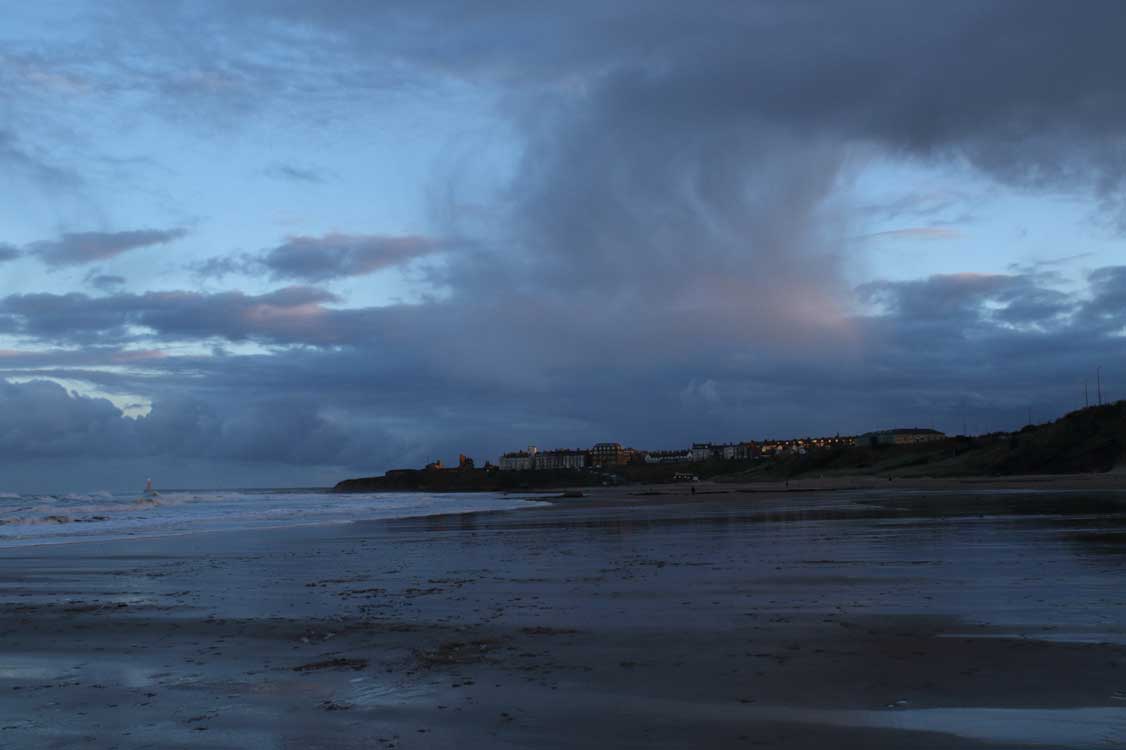 Dan Turner (@dant_coast) on Twitter photo Fri, 27 Sept 2024.
Late pm <a href="/NEBBS11/">Northeast England Beached Bird Surveys</a> survey at Tynemouth (Tyne and Wear): low tide, 11 degrees. Six beached & intact fulmar corpses were collected, with remains of another seen. This was part of an unhappy fulmar wreck along our NE England coastline (bird flu has been identified). Fri, 27 Sept 2024.
Late pm <a href="/NEBBS11/">Northeast England Beached Bird Surveys</a> survey at Tynemouth (Tyne and Wear): low tide, 11 degrees. Six beached & intact fulmar corpses were collected, with remains of another seen. This was part of an unhappy fulmar wreck along our NE England coastline (bird flu has been identified).