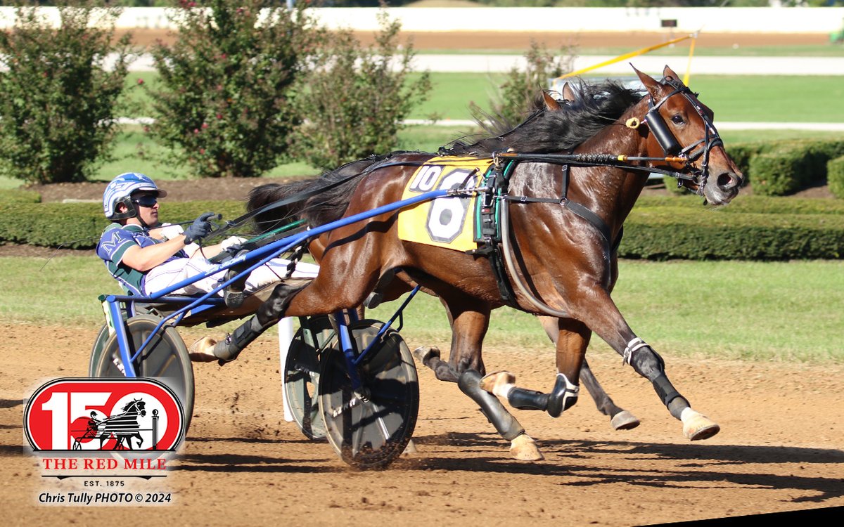 Red Mile Racetrack tweet media