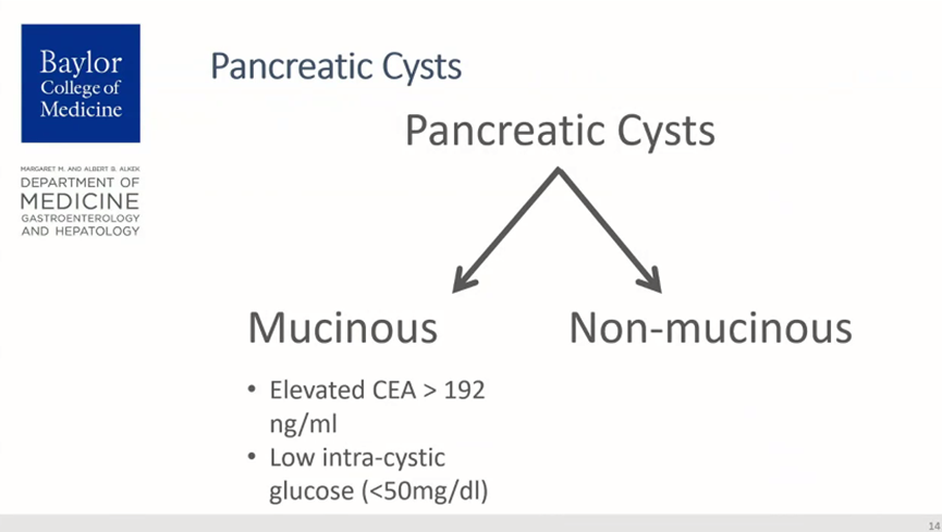 ruben_hernaez's tweet photo. #kalpatel intro on pancreas cysts for the GI Boards https://t.co/BkjzfwYSyi