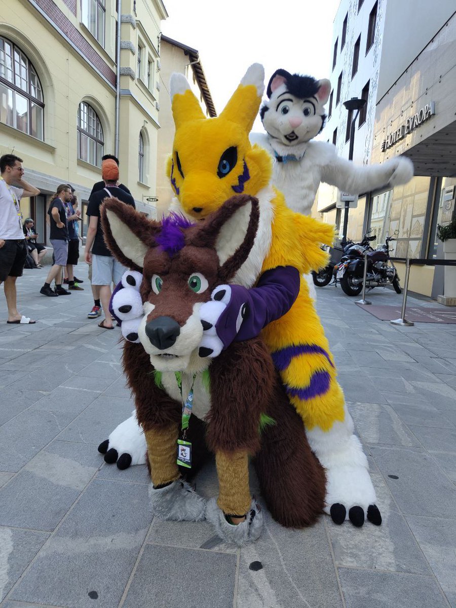 #FursuitFriday #Felpos #Simba  #Sloflufcon