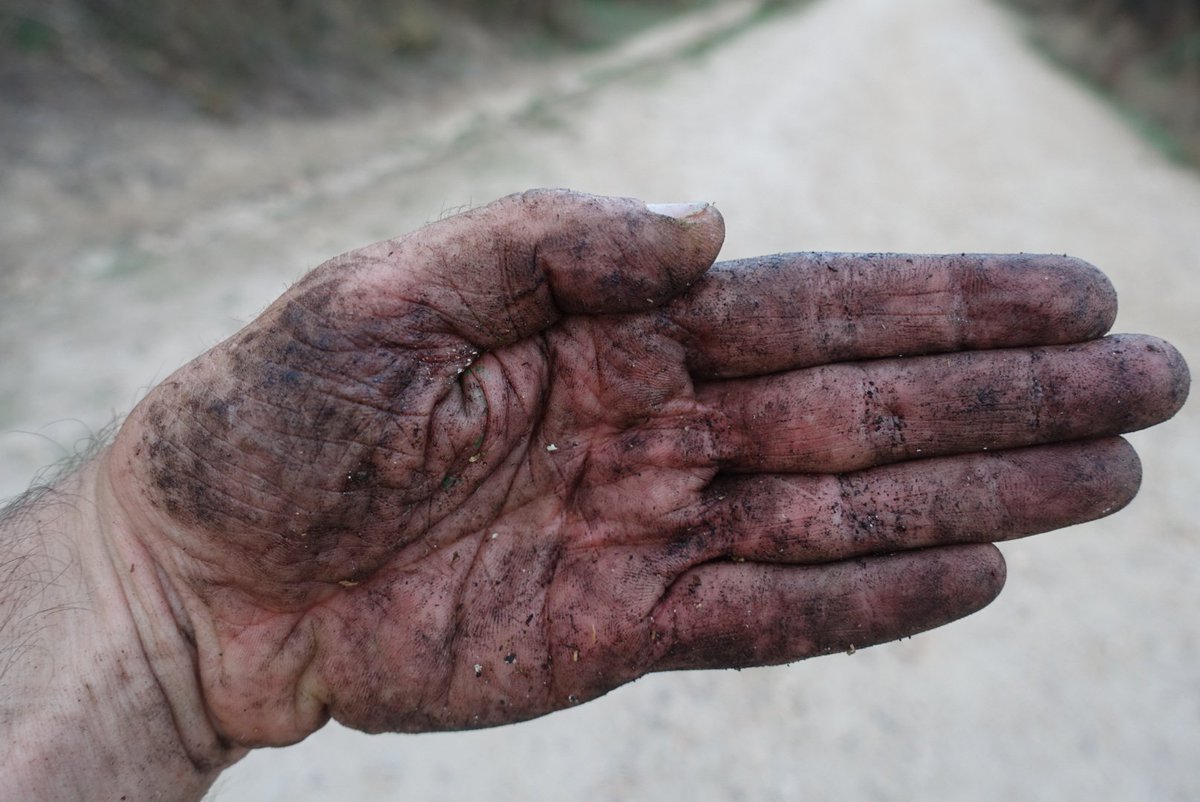 Viajarapie tweet media