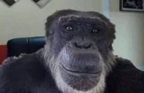 j'ai raid un petit sur twitch pour lui donner de la force son pc a crash