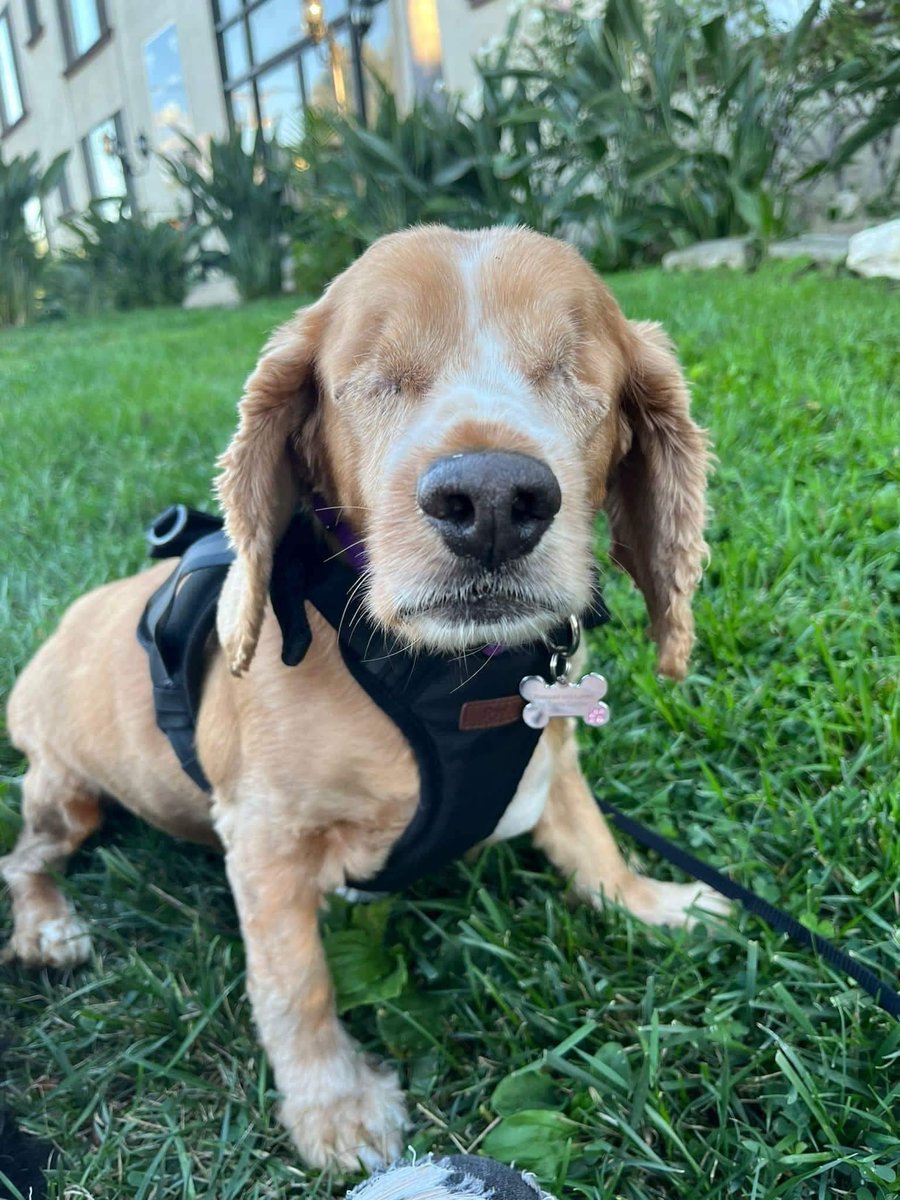 I know i'm not going to get a kiss 💋 cos I’m not pretty