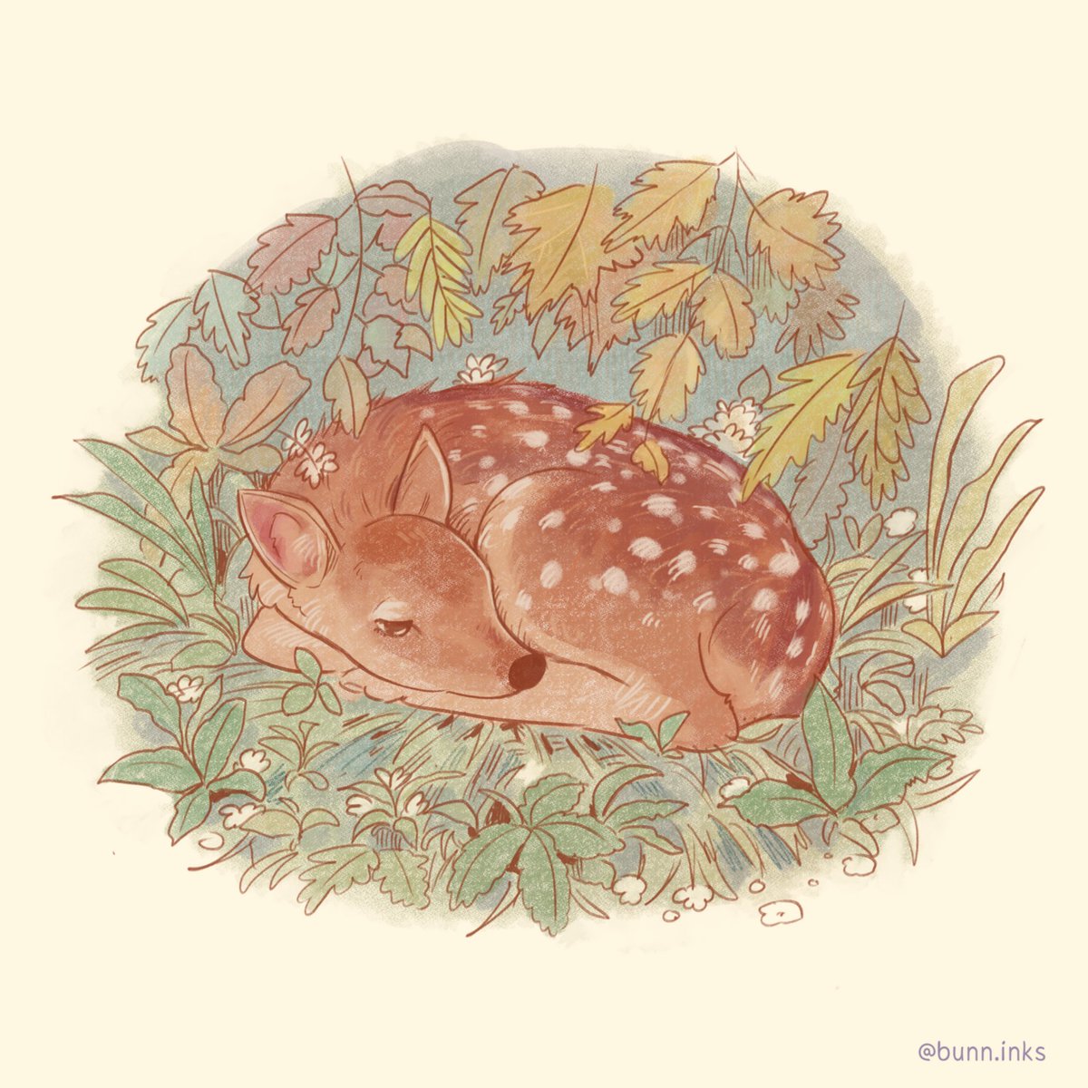 bunn_inks's tweet photo. Day 5 - Fawn 
#peachtober24 #peachtober24fawn https://t.co/y49LKDR8YY