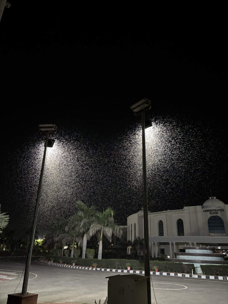 dietcoke1108's tweet photo. It’s day 14th of our protest nd the Chancellor has not yet responded to the demands that we have conveyed to him.The VC has not allowed the coolers in and students have been sitting out in this weather where insects have become a big trouble and people are constantly getting sick https://t.co/J3SlyrlkQL