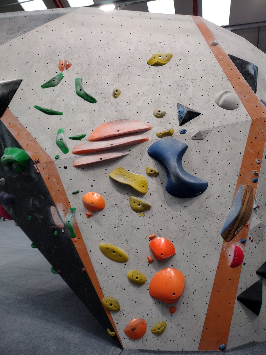 Getting hints of Endoplasmic Reticulum from this boulder