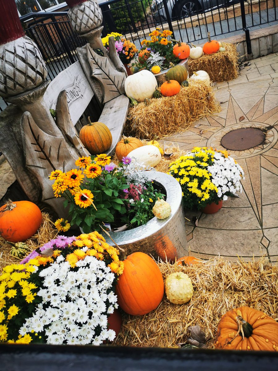 Kristine Robinson (@no1kristine) on Twitter photo 