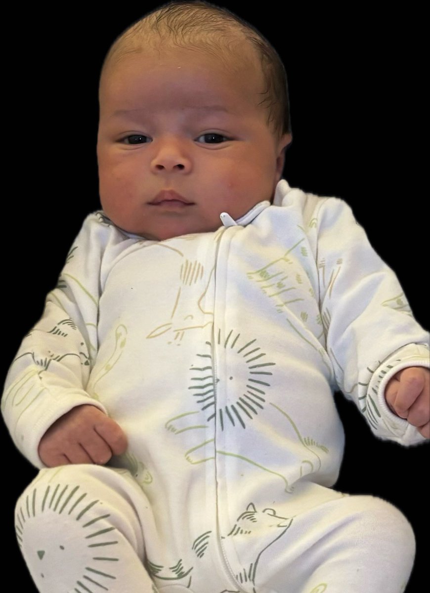 boss baby