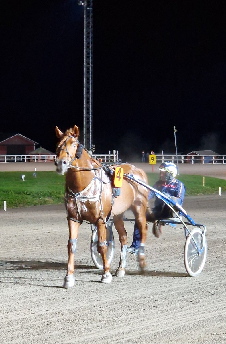 Pohjoismaiden paras! Onnea V.G. Voitto ja kaikki taustajoukot! #ravit