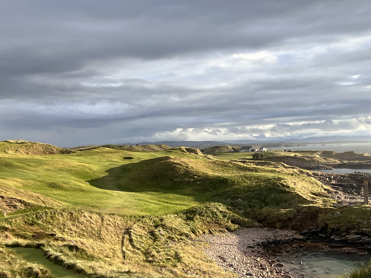 Robert Thompson tweet media