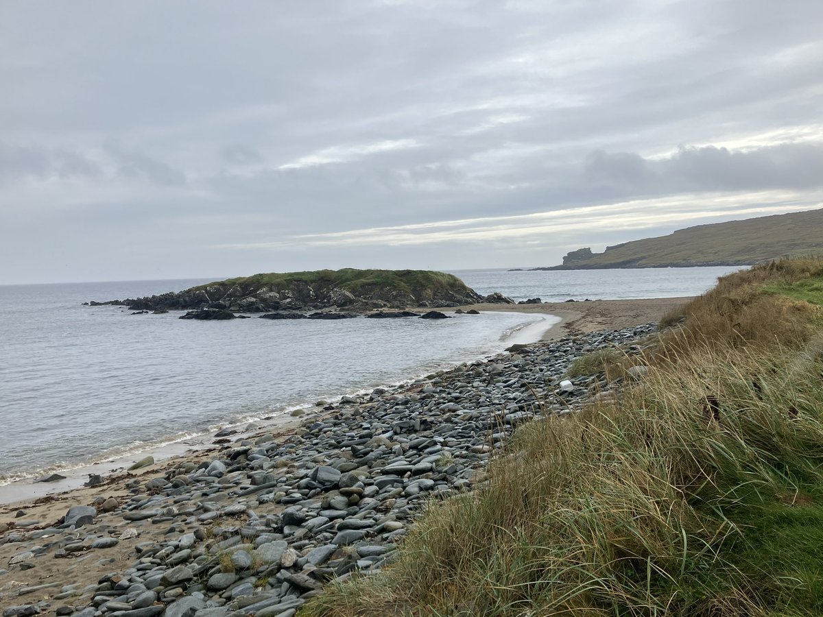 Phil Jones tweet media