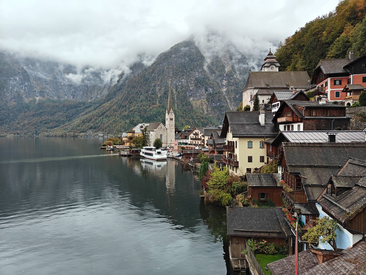 Annette Oertle tweet media