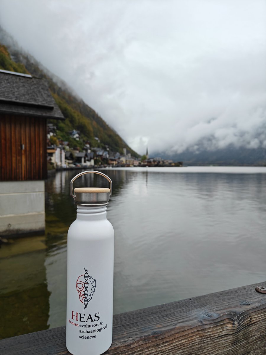 Annette Oertle tweet media