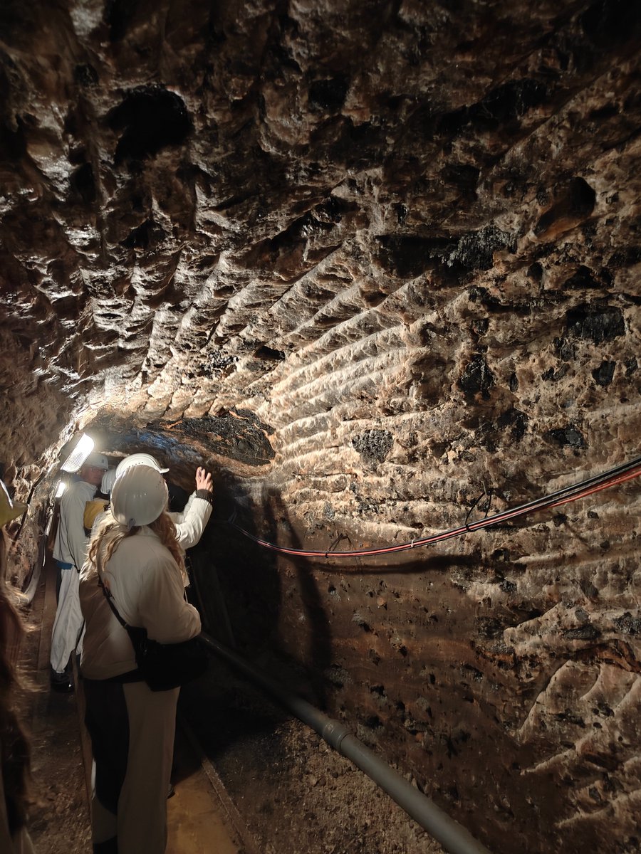 Annette Oertle (@netty) on Twitter photo <a href="/HeasVienna/">HEAS Vienna</a> trip to Hallstatt was amazing! Learnt a lot about the salt mine and the super interesting archaeology happening there. Thank you to all our tour guides and organisers. #heas #hallstatt #salt <a href="/HeasVienna/">HEAS Vienna</a> trip to Hallstatt was amazing! Learnt a lot about the salt mine and the super interesting archaeology happening there. Thank you to all our tour guides and organisers. #heas #hallstatt #salt