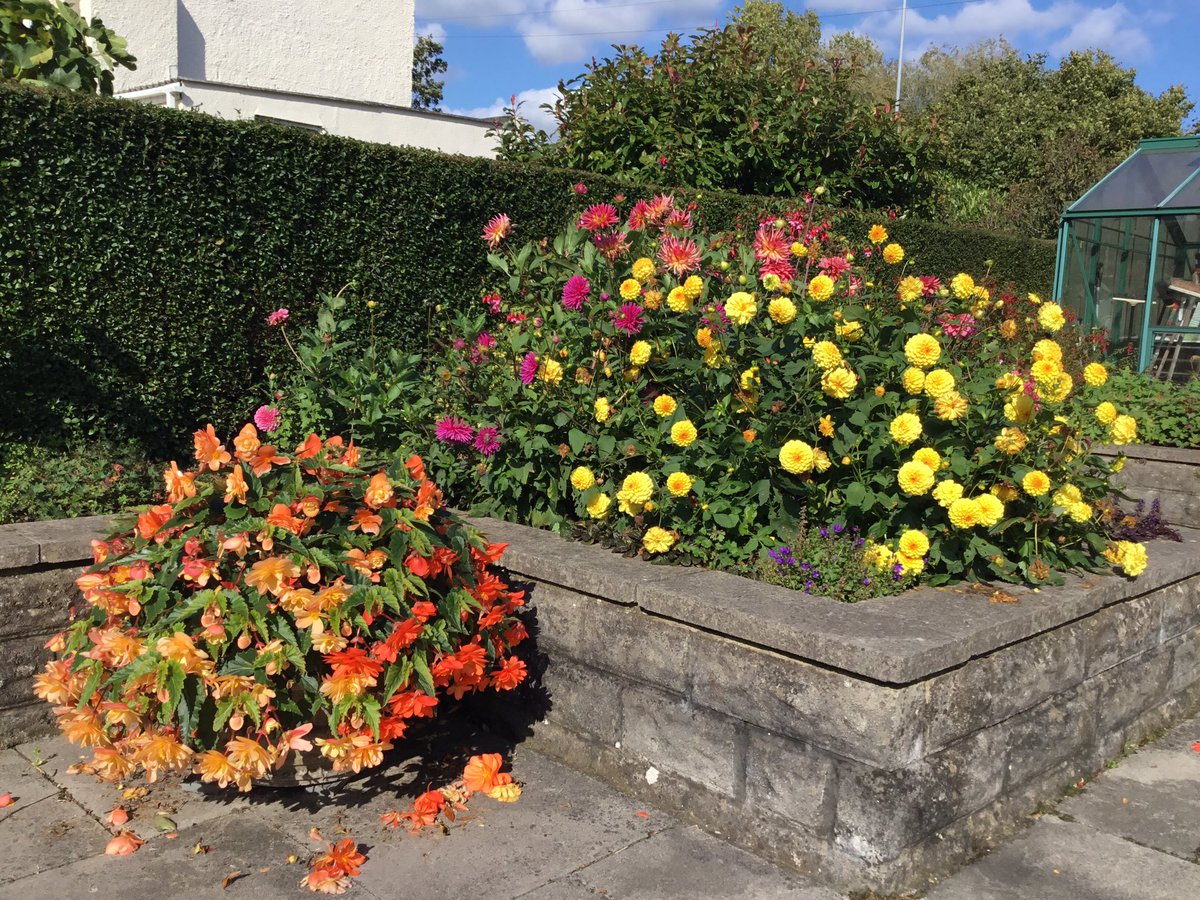 Lovely sunshine here in South Wales today.