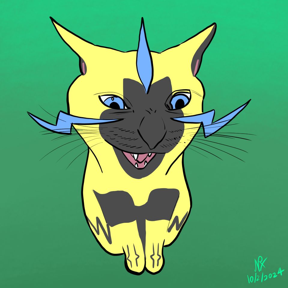 No Context.
#zeraora #cats