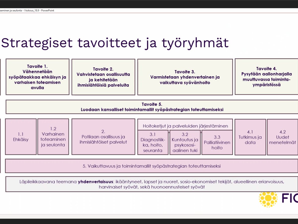 StromsholmEvaMa's tweet photo. Finland is getting a National #Cancer Strategy and I am honored to have the opportunity be part of this work giving also the patients perspective.
I am in two workinggroups, ”early detection and #screening” and ”#rehabilitation and psychosocial support”. 
#syöpä #cancerstrategy https://t.co/rl53GDO38W