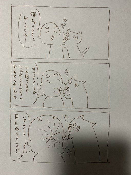 ねこちぇんの舌は痛い。 