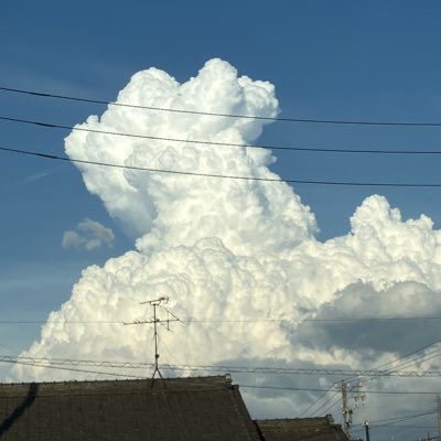 #新しいプロフィール画像