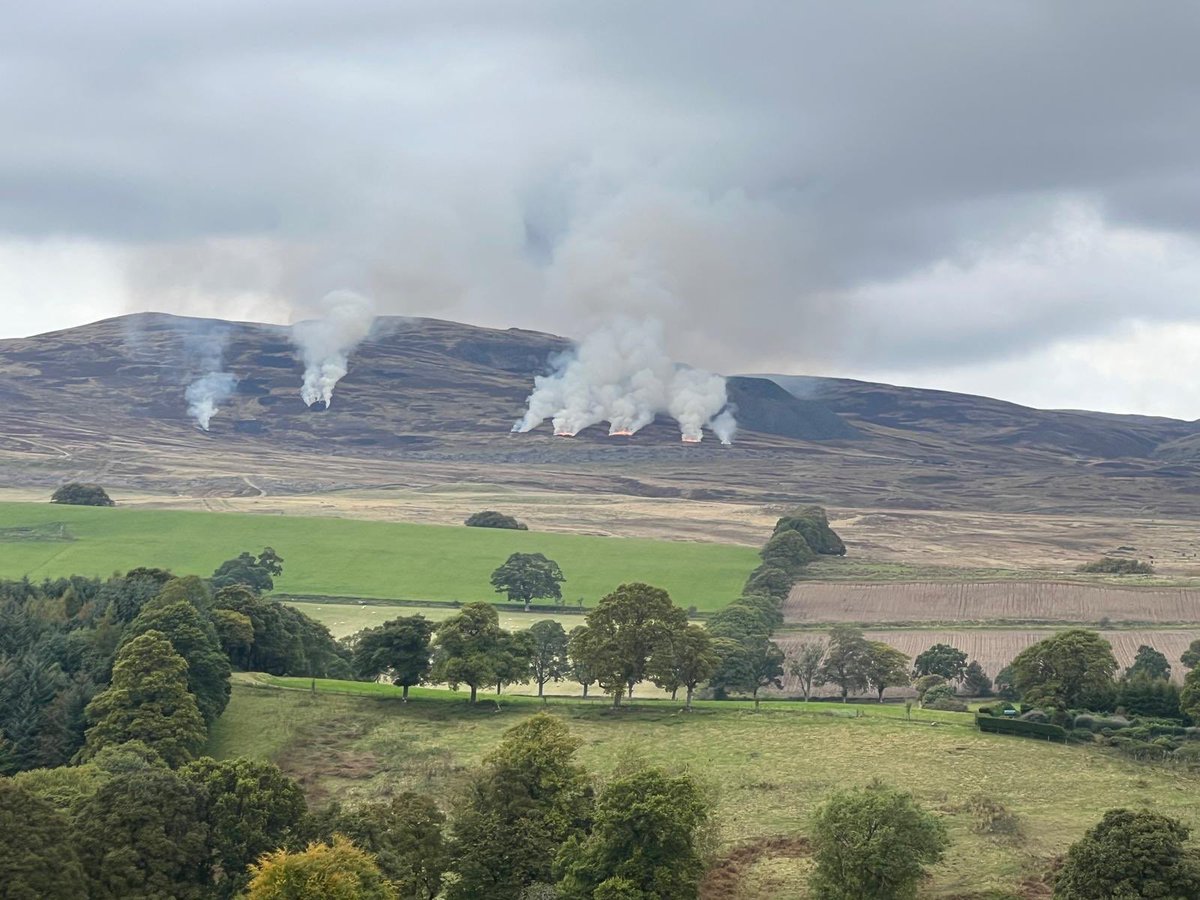 Rewild Scotland 🏴🌳 (@rewildscotland) on Twitter photo What climate crisis!
Burning the hills so a few can shoot grouse. Forget banning wood burning stoves <a href="/JimFairlieLogie/">Jim Fairlie MSP SNP</a> ban this! What climate crisis!
Burning the hills so a few can shoot grouse. Forget banning wood burning stoves <a href="/JimFairlieLogie/">Jim Fairlie MSP SNP</a> ban this!