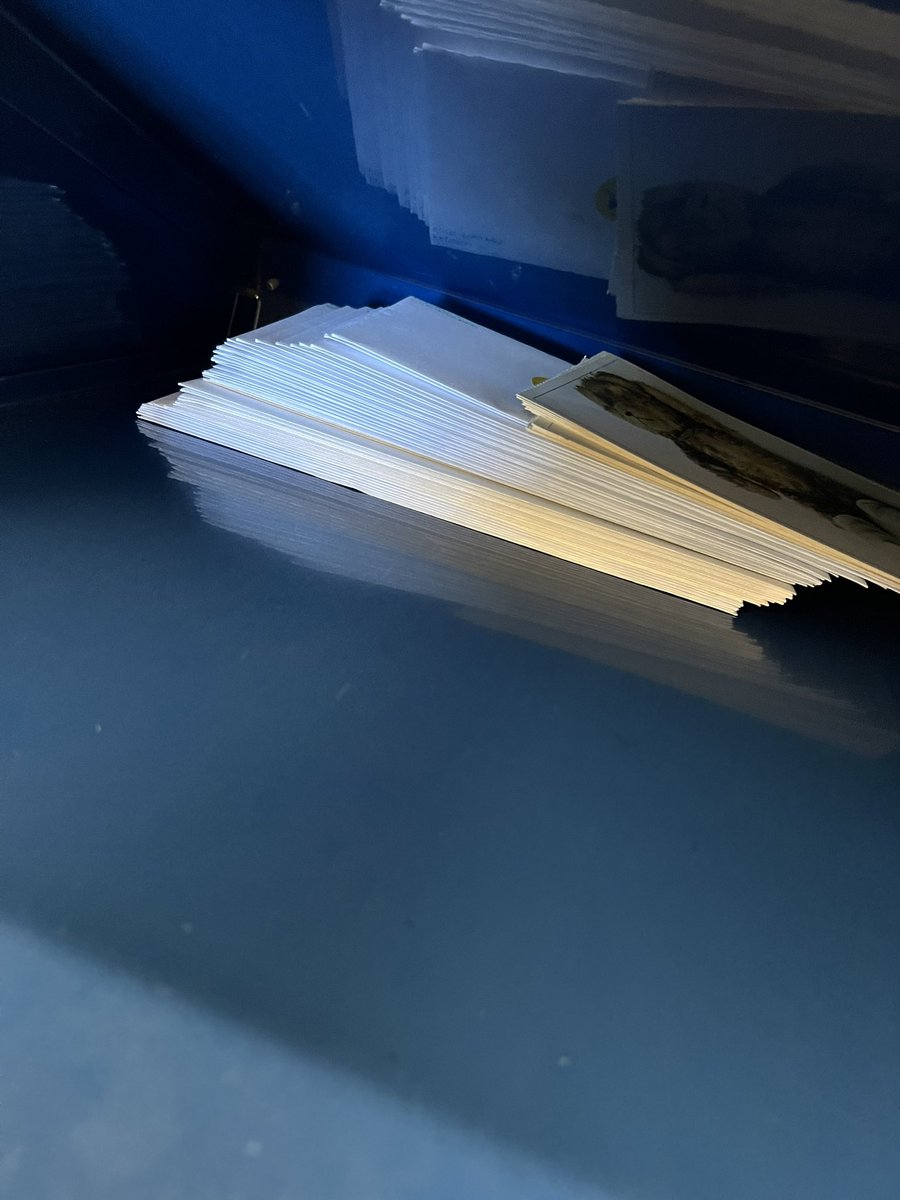 Ralphie the 3-legged WonderPom tweet media