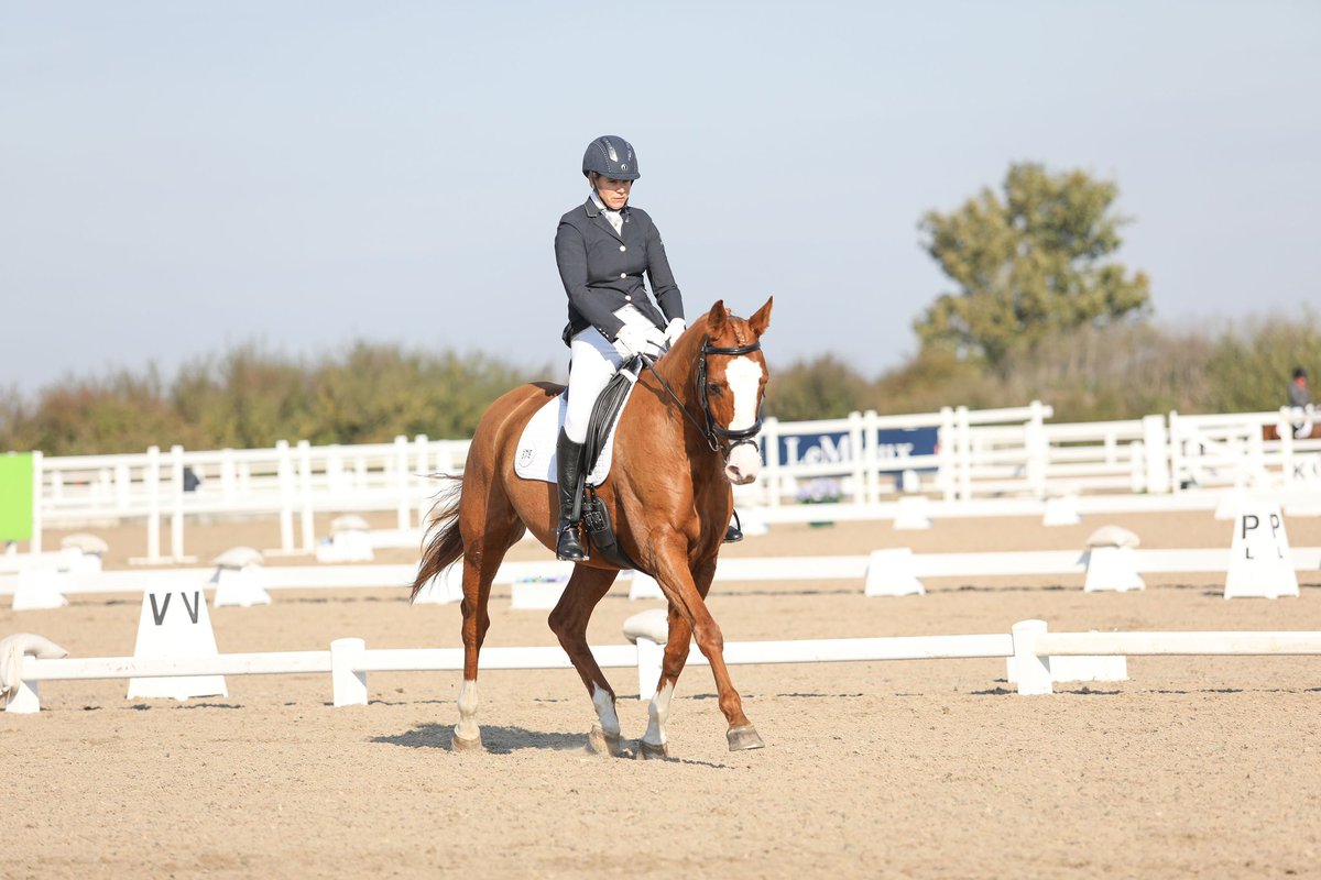 ShipwayC's tweet photo. Fantastic weekend @britishdressage @petplan Area Festival Championships! No placing today but we’re certainly moving in the right direction, improving all the time 💪🐎😍 @CathLabNewbie https://t.co/Cwf1MlTPwa