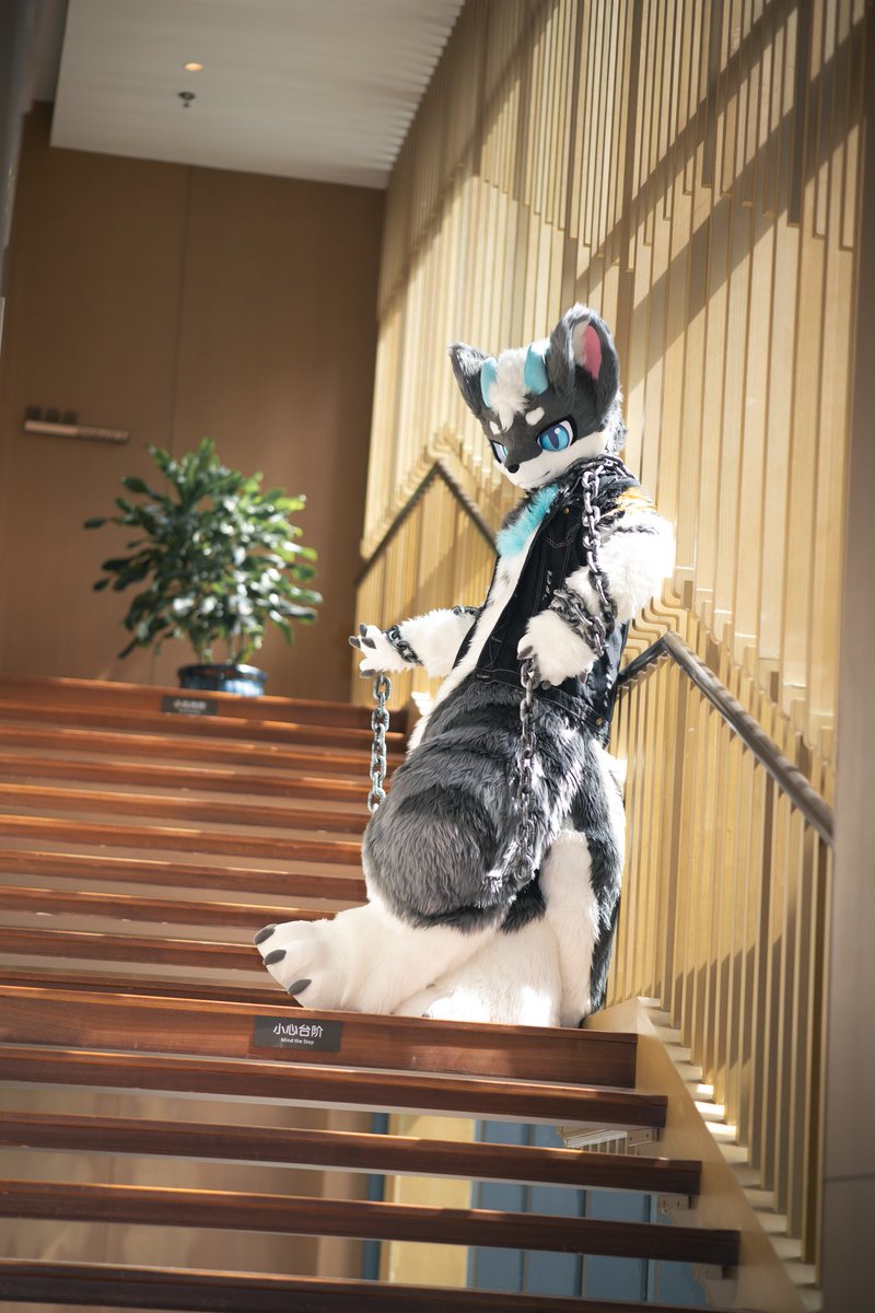 呜呜呜假期余额快要不足了，还好我有若可贴贴w

📷：白矮星prime 
#FursuitsEveryday