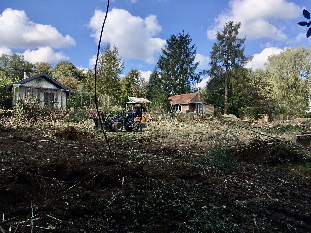 AnneVellinga's tweet photo. Buurman laat de bamboe afgraven, 8 meter hoog waren ze. Ingrijpende, goede actie. Mijn werkschuur ligt er nu bloot bij #bamboe https://t.co/nOXrNnN5MA