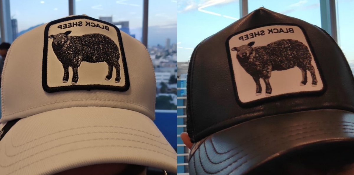 MihailArvidson's tweet photo. Un año después, las ovejas negras volvemos a encontrarnos en NerdConf BBVA Spark. Diferente color, mismo espíritu. 🖤🤍🐑 #SolanaFam #BlackSheep @Miltron @nerdconf_ar @BBVASpark #Solana #SuperteamMX https://t.co/WtoEi3J9V2
