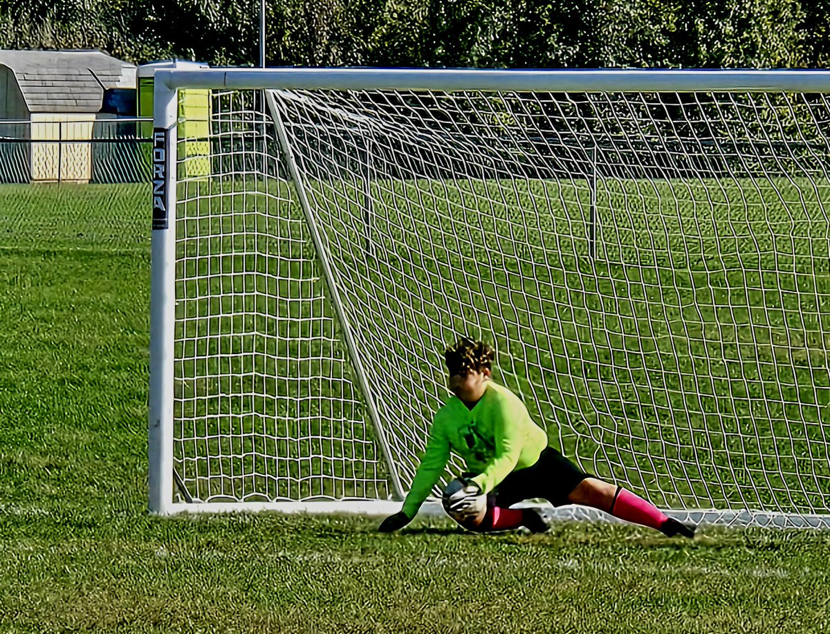 Mr. Bird FRSD tweet media