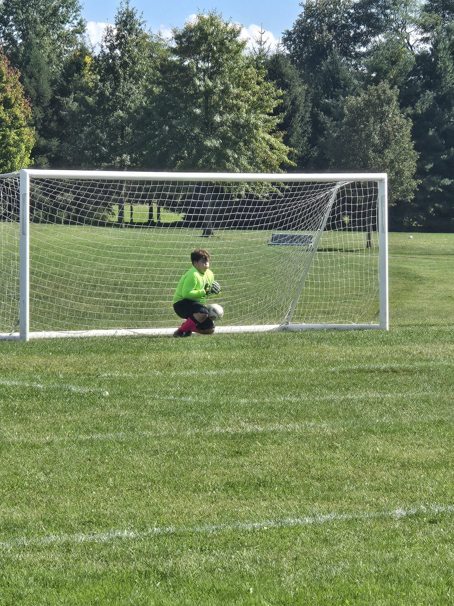 Mr. Bird FRSD tweet media