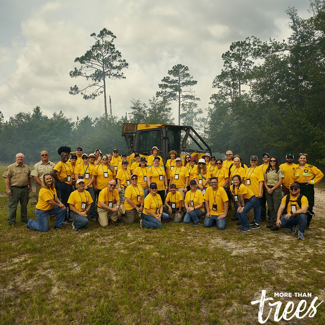 Rayonier (@rayonier) on Twitter photo Thank you, teachers, for your dedication to shaping the next generation! We love welcoming educators into our forests during the Florida Teachers’ Tour each summer, where they learn about our industry & take valuable insights back to their classrooms. 
hubs.ly/Q02RS5y10 Thank you, teachers, for your dedication to shaping the next generation! We love welcoming educators into our forests during the Florida Teachers’ Tour each summer, where they learn about our industry & take valuable insights back to their classrooms. 
hubs.ly/Q02RS5y10