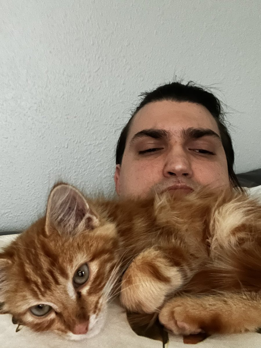 Fabled Turtle tweet media