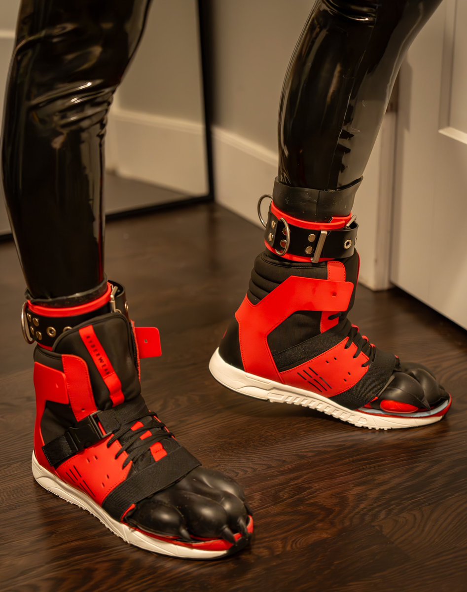 pupper_spike's tweet photo. Some new gear! Now Spike paws also come in @furrjoi01 × cut up sneakers edition. 👟 🐾 https://t.co/oIIGdPN48d