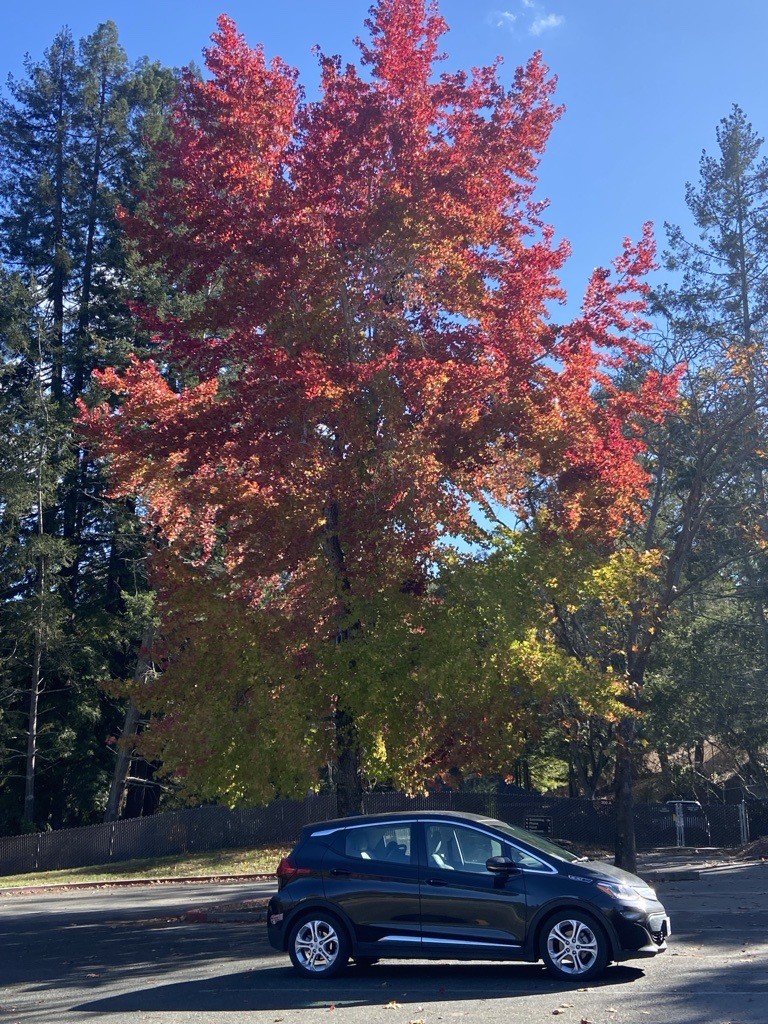 evgonetwork's tweet photo. #NationalDriveElectricWeek is in full swing and we're celebrating team members who made the switch to electric. From Pratoom's stylish Tesla Model Y to Sara's zippy Chevy Bolt and Tom's sporty Ford Mustang Mach-E, there's an EV for everyone. What EV do you drive? #ShowMeYourEV https://t.co/UJvKKv1ZAG