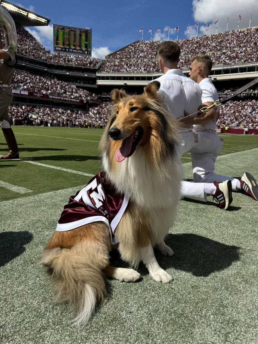 I love it here 🥰🐾