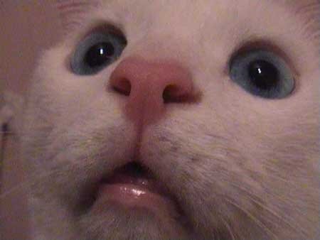 downhounder's tweet image. Is HelloID down?

#HelloID status:

Azure AD Sync to HelloID not working. More: bit.ly/3Nd6QjB

Seeing this? Please retweet. 🙏

@HelloID can you help?

#HelloIDDown 😱