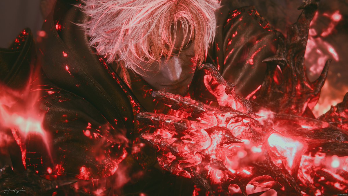 Acalypha tweet media