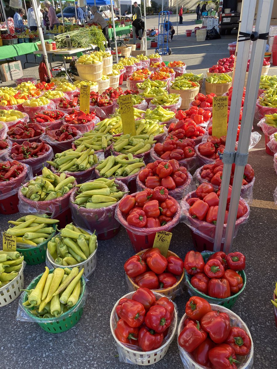 Ms. Savoy Mr. Sanderson🌈@LordGraydon tweet media