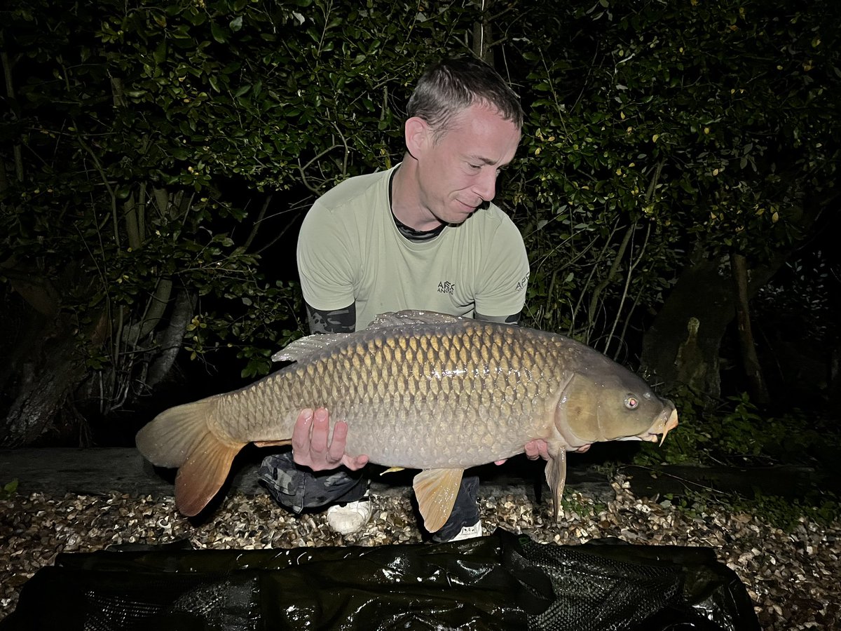 Ridiculous session 🎣
💥 14lb 3oz Common Carp 💥
💥 26lb 10oz Mirror Carp 💥 ⭐️PB⭐️ 
💥 16lb 3oz Common Carp 💥
💥 20lb 6oz Common Carp 💥 ⭐️PB⭐️

#ApexAngling
#Carpy
#Carpography
#Carp
#CarpFishing
#CarpLife
#Angling
#Fish
#AnglingLife
#FishingLife
#CatchAndRelease
#TightLines