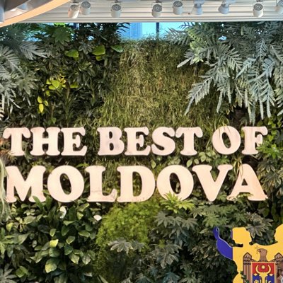 VAMD18's tweet image. #NewProfilePic