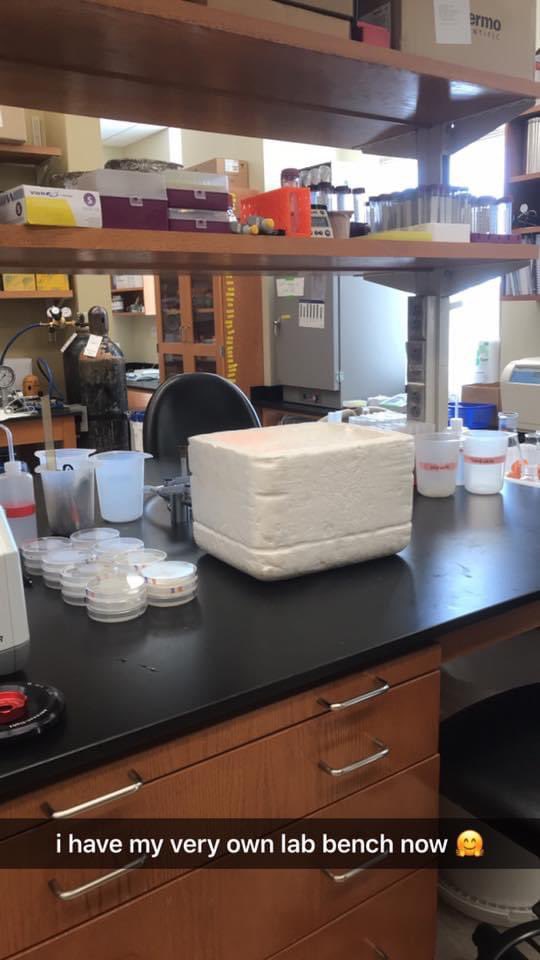 Tessa Lochetto tweet media