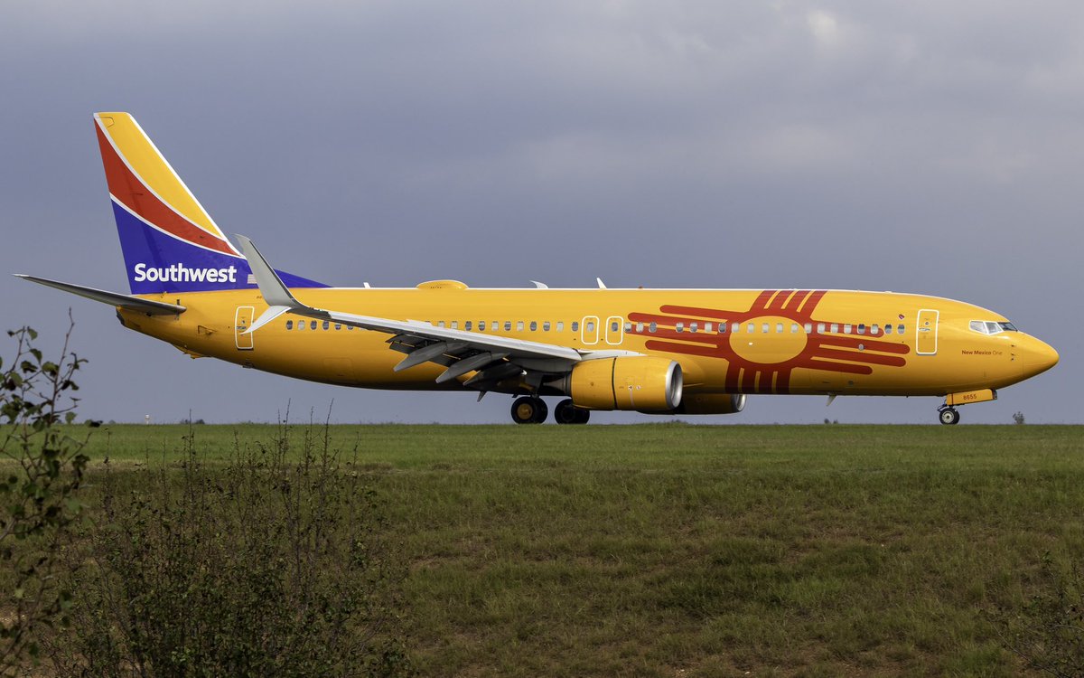 Parker White tweet media