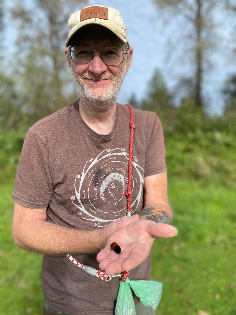 GrimOptimist.bsky.social tweet media