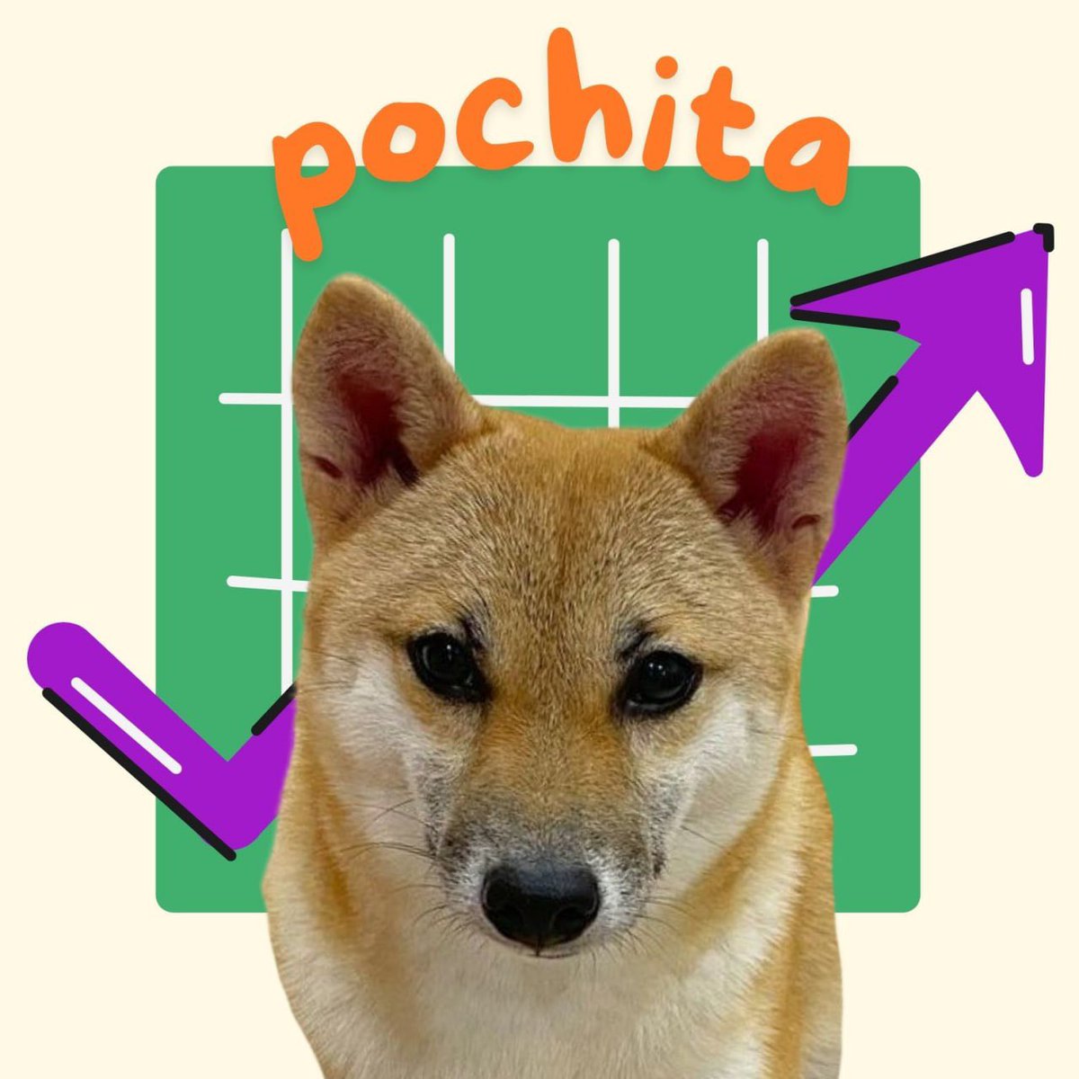 <a href="/eth_exy/">Exy</a> #Pochita stays winning together all for one and one for all 

E6AujzX54E1ZoPDFP2CyG3HHUVKygEkp6DRqig61pump