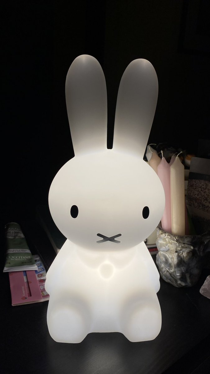 evperfectsimple's tweet image. babe my miffy lamp stays on during sex