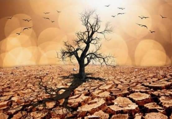 هناك مثل إفريقي قديم يقول :
إن الأمطار التي يلعنها البحارة
 هي ذاتها التي يصلي من أجلها المزارعون.