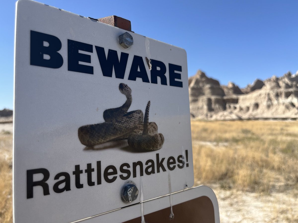 Jorge Daniel Taillant (@jdtaillant) on Twitter photo Fascinating trip through the Badlands of South Dakota Fascinating trip through the Badlands of South Dakota