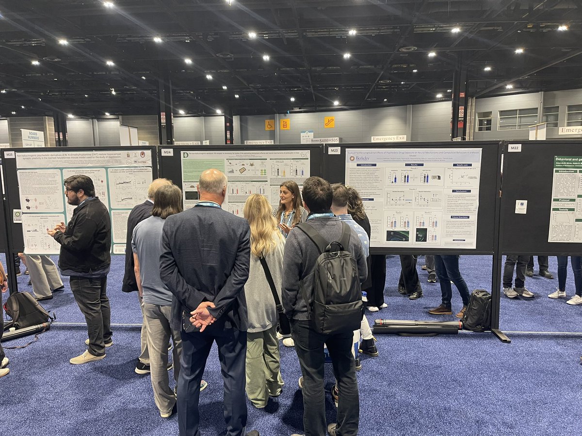 Wowza look at that crowd