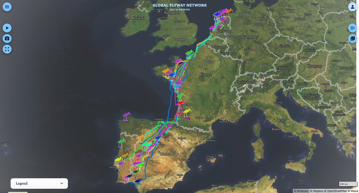 Wouter Vansteelant (@wmgvs) on Twitter photo Looking at Kirk's predicted trajectory, it looks like many of the young <a href="/GlobalFlyway/">Global Flyway Network</a> #Spoonbills will experience their first major autumn storm along Europe's Atlantic seaboard next week. Not a trivial challenge, that may prove too much for some. We'll be monitoring it closely! Looking at Kirk's predicted trajectory, it looks like many of the young <a href="/GlobalFlyway/">Global Flyway Network</a> #Spoonbills will experience their first major autumn storm along Europe's Atlantic seaboard next week. Not a trivial challenge, that may prove too much for some. We'll be monitoring it closely!